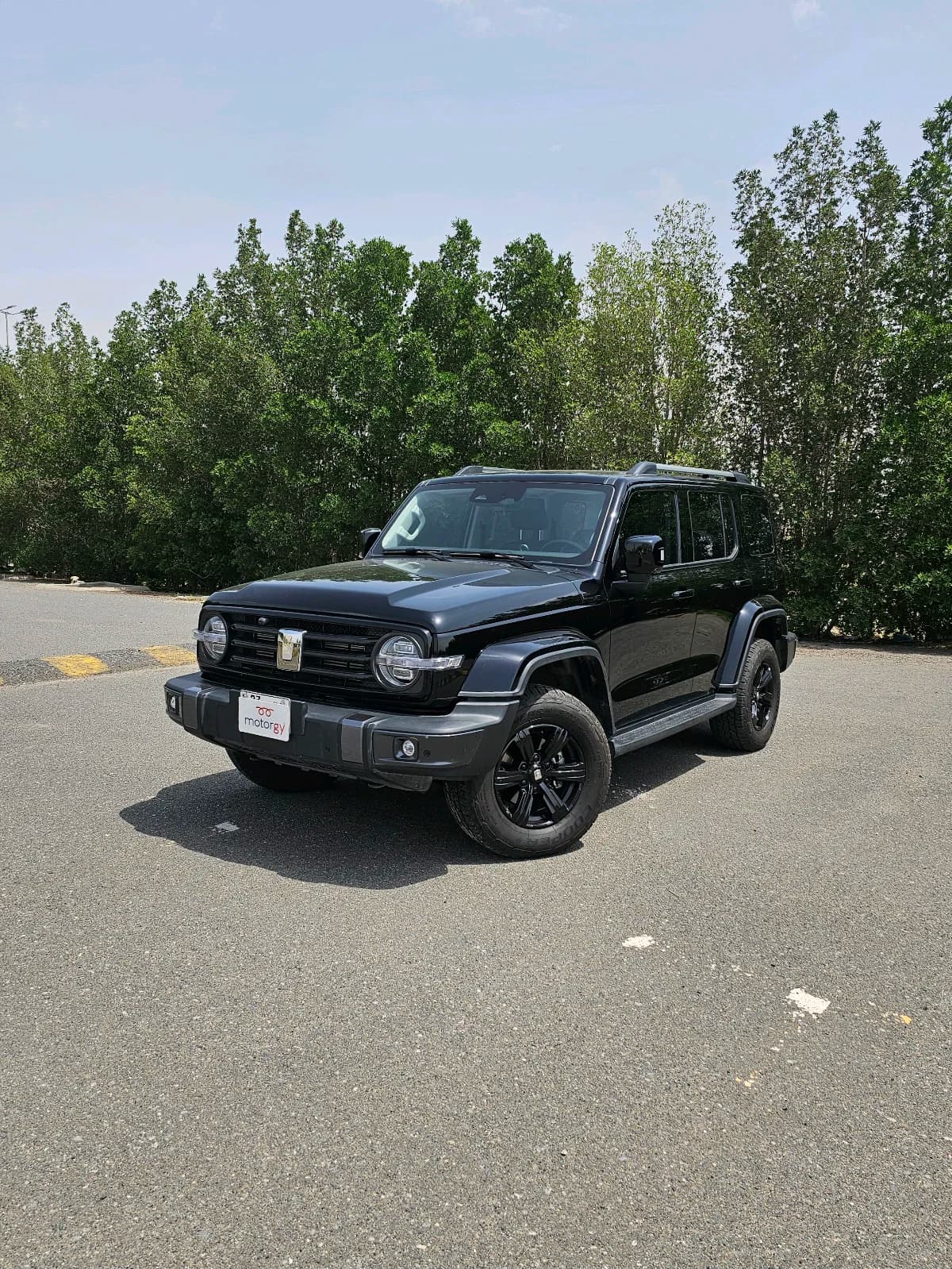 Great Wall Tank 300