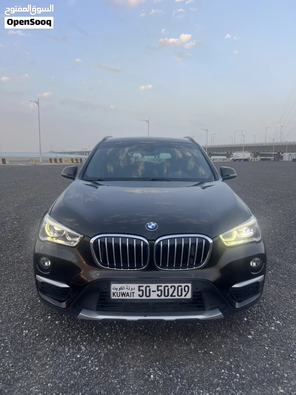2019 BMW X1
