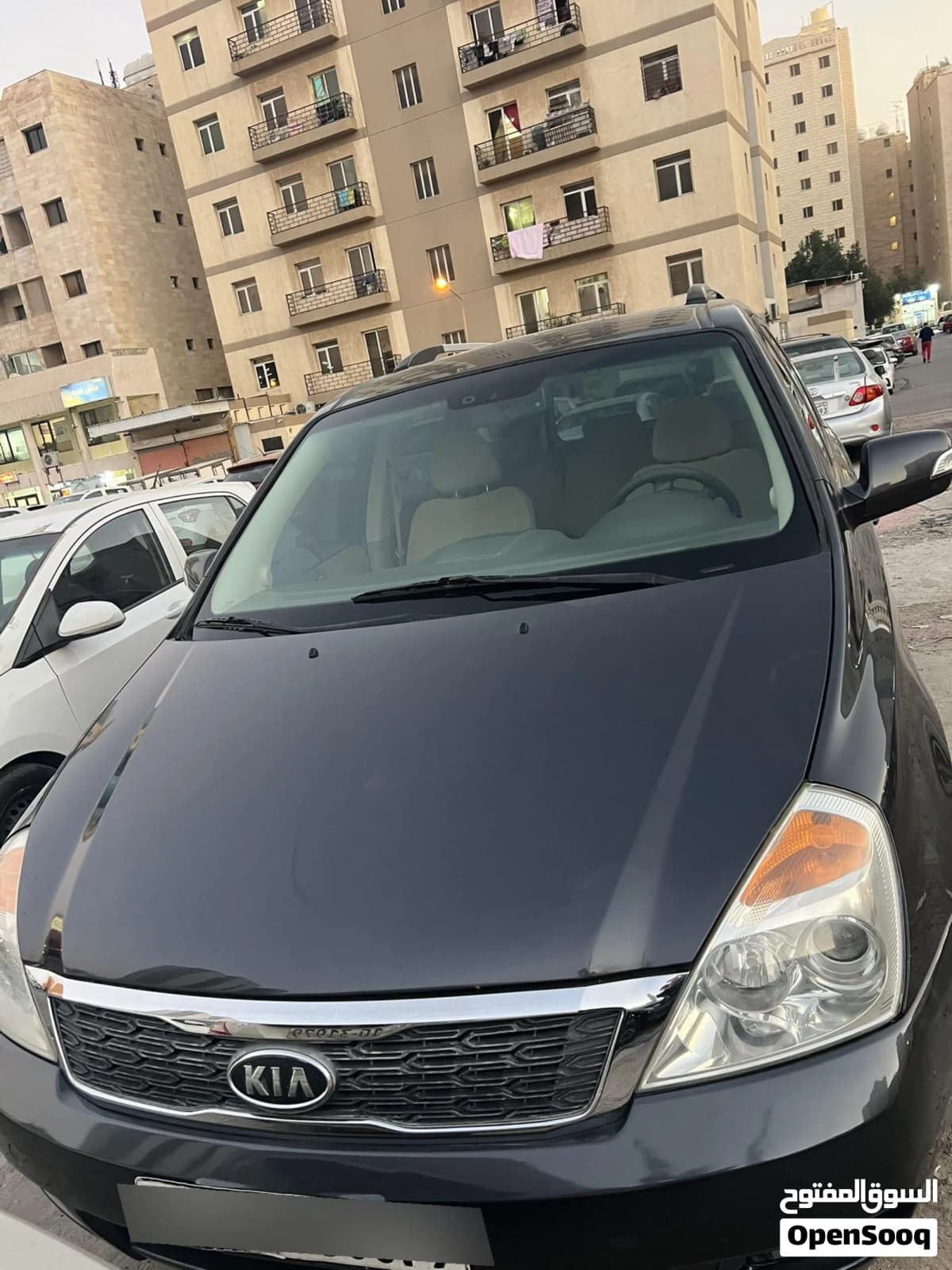 2012 Kia Carnival